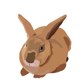 Rosie the rabbit