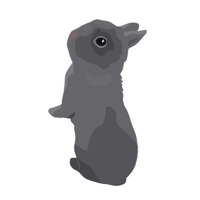 Thomas the rabbit
