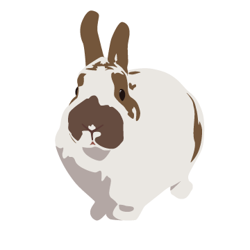 Winnie the rabbit